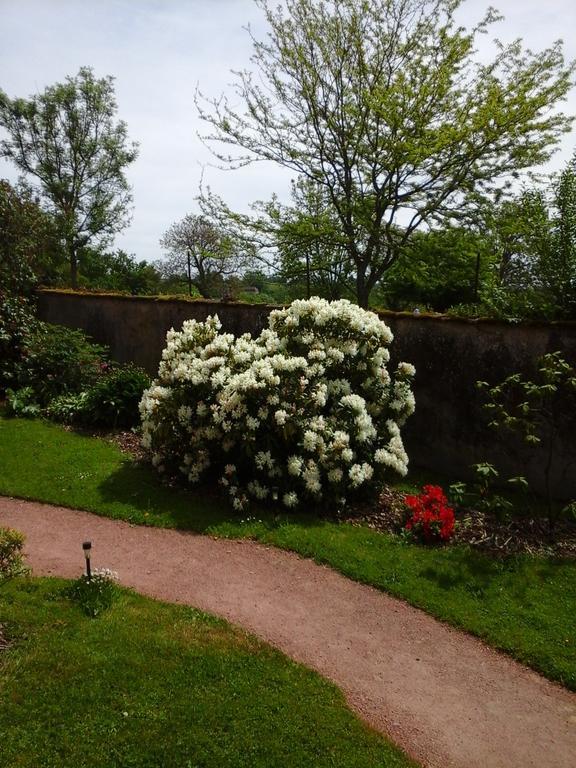 Chambres D'Hotes La Vie En Roses Iguerande Eksteriør billede